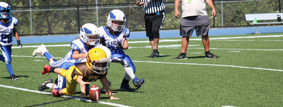 D3 Making the Sack!